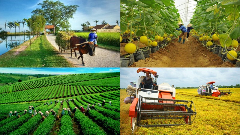 Lý luận và Thực tiễn