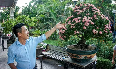 Nhà báo Vương Xuân Nguyên chia sẻ về phong trào Tết Trồng cây với VTV1