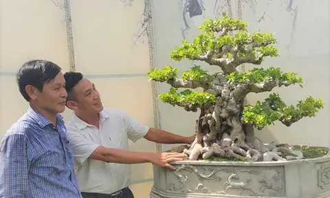 Lộ diện tác phẩm Si đỏ "Đường Quyền Tây Sơn" khách trả tiền tỷ chưa bán
