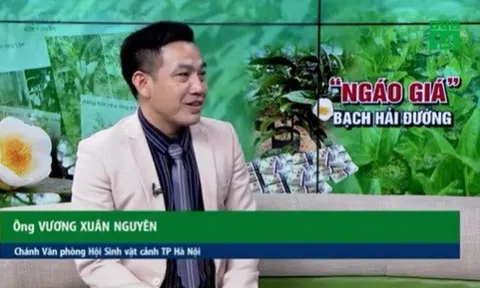 Nhà báo Vương Xuân Nguyên trao đổi với VTV14 về bài học từ hoa đột biến